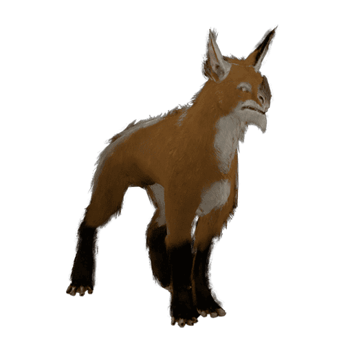 Huras Kubrow