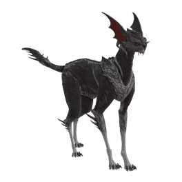 Vasca Kavat