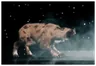 Raksa Kubrow Imprint