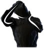Red Veil Piloting Emote