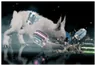 Sahasa Kubrow Imprint